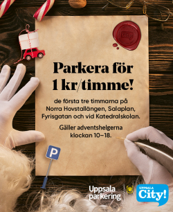 Skärmbild 2025-11-19 154729.png