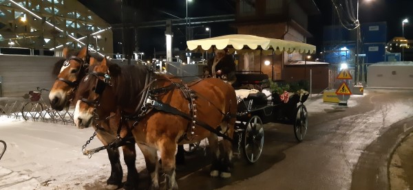 hästskjuts webb.jpg